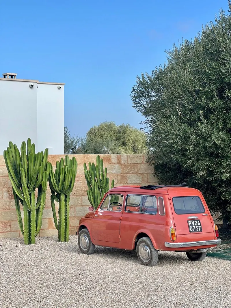 A red Fiat 500 parked by tall cactus against a stone wall on the estate