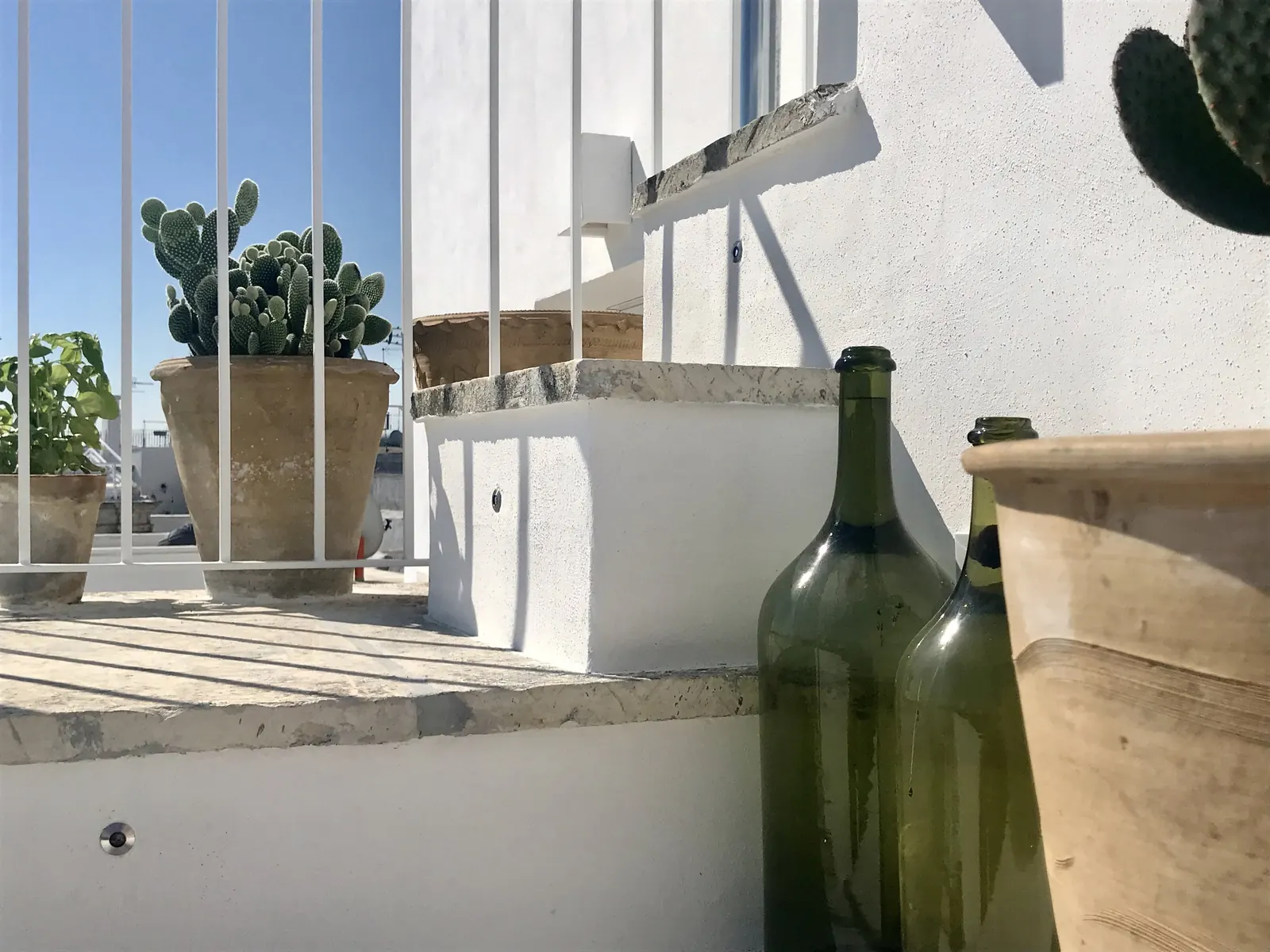 Terrace wall with cactus and green glass bottles