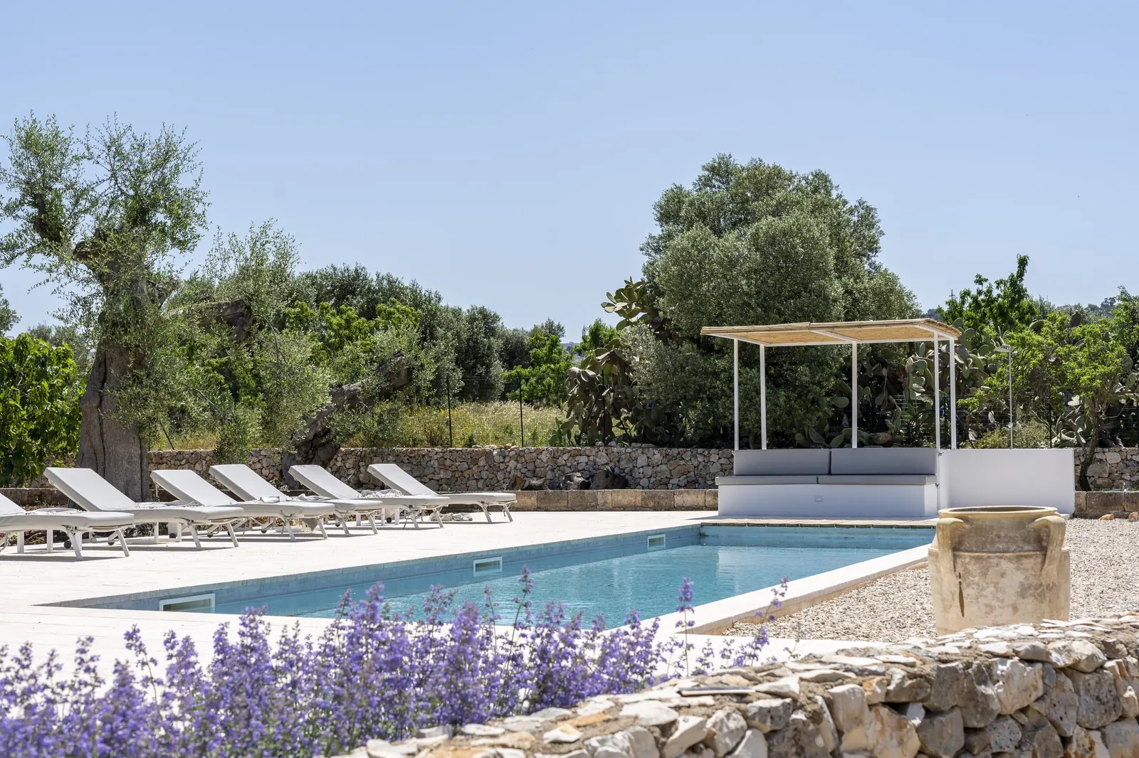 Pool with lavender and a shaded daybed