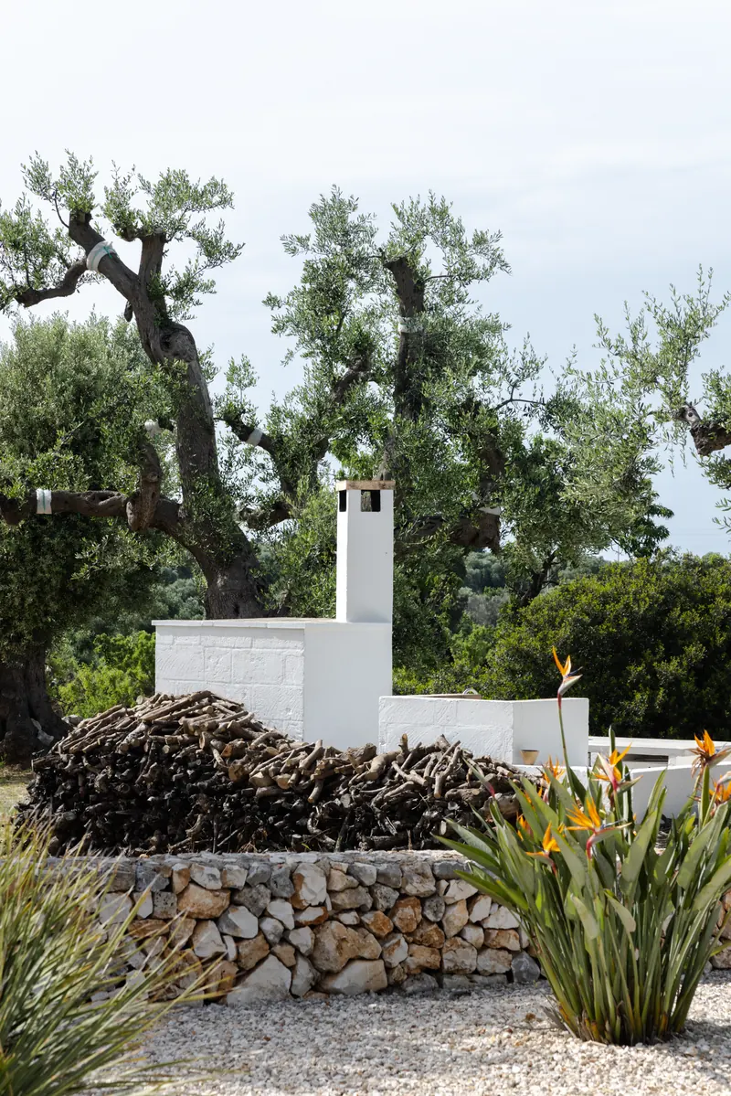 Traditional pizza oven among the olive trees