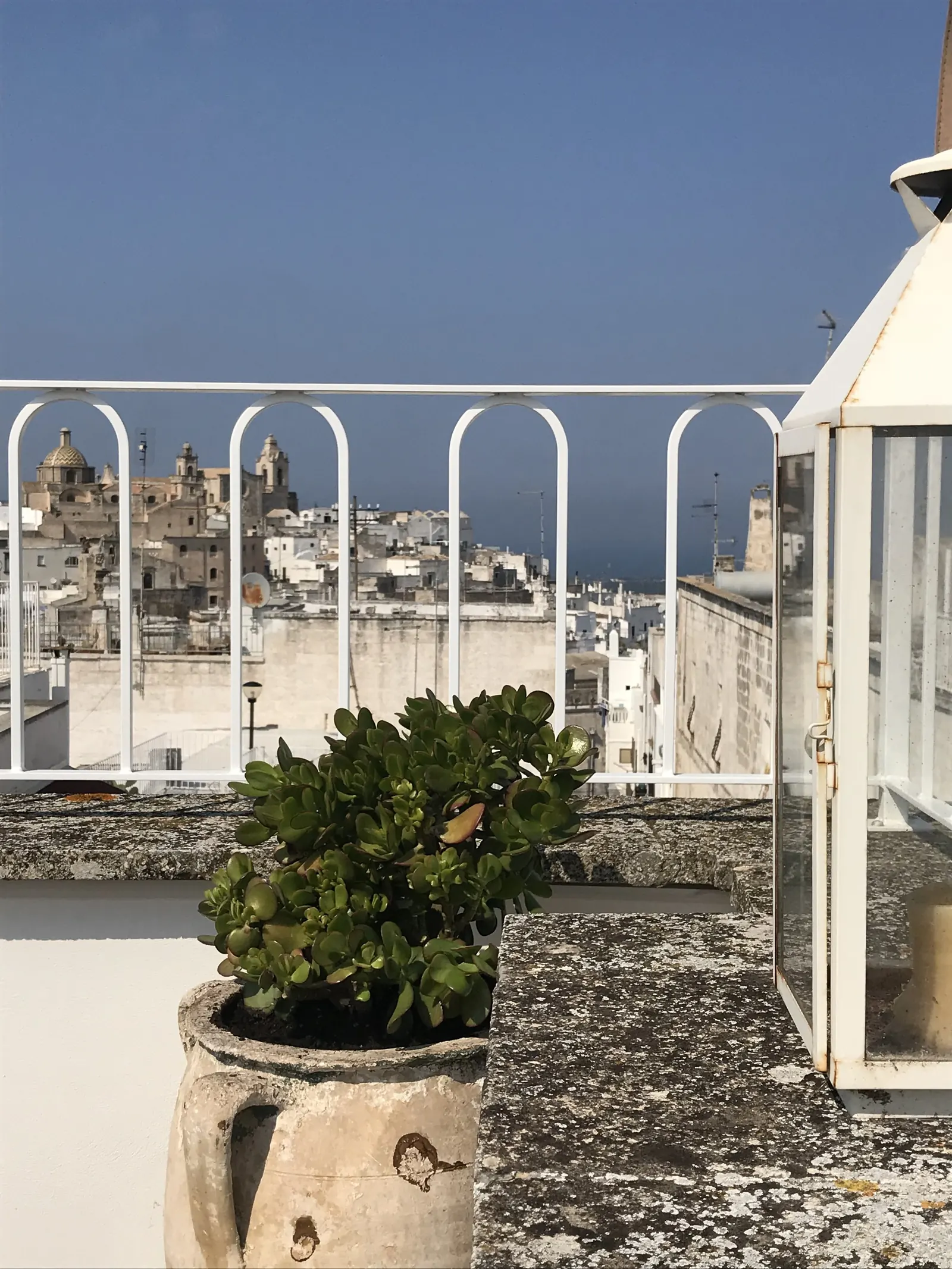 Potted olive on the terrace wall above the old town