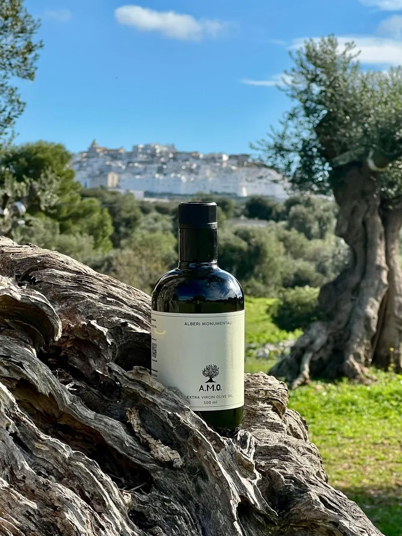 A.M.O Puglia olive oil on an olive trunk with Ostuni behind