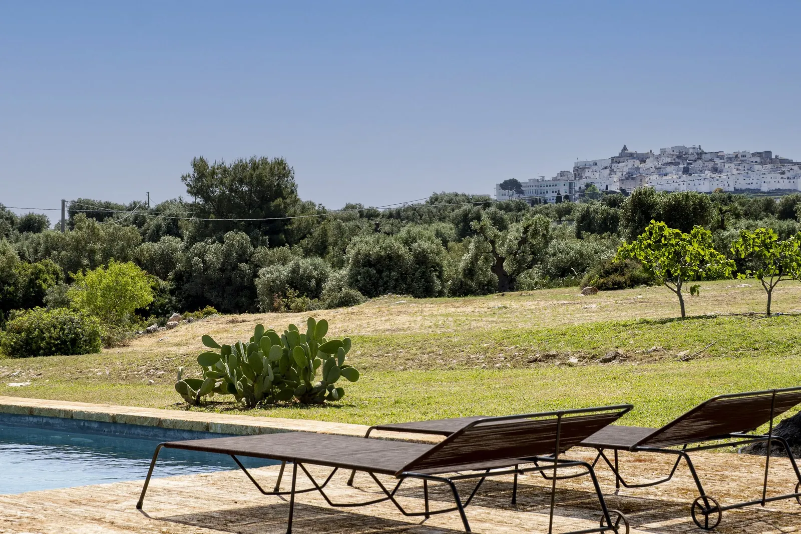 Sunbeds by the pool looking toward Ostuni