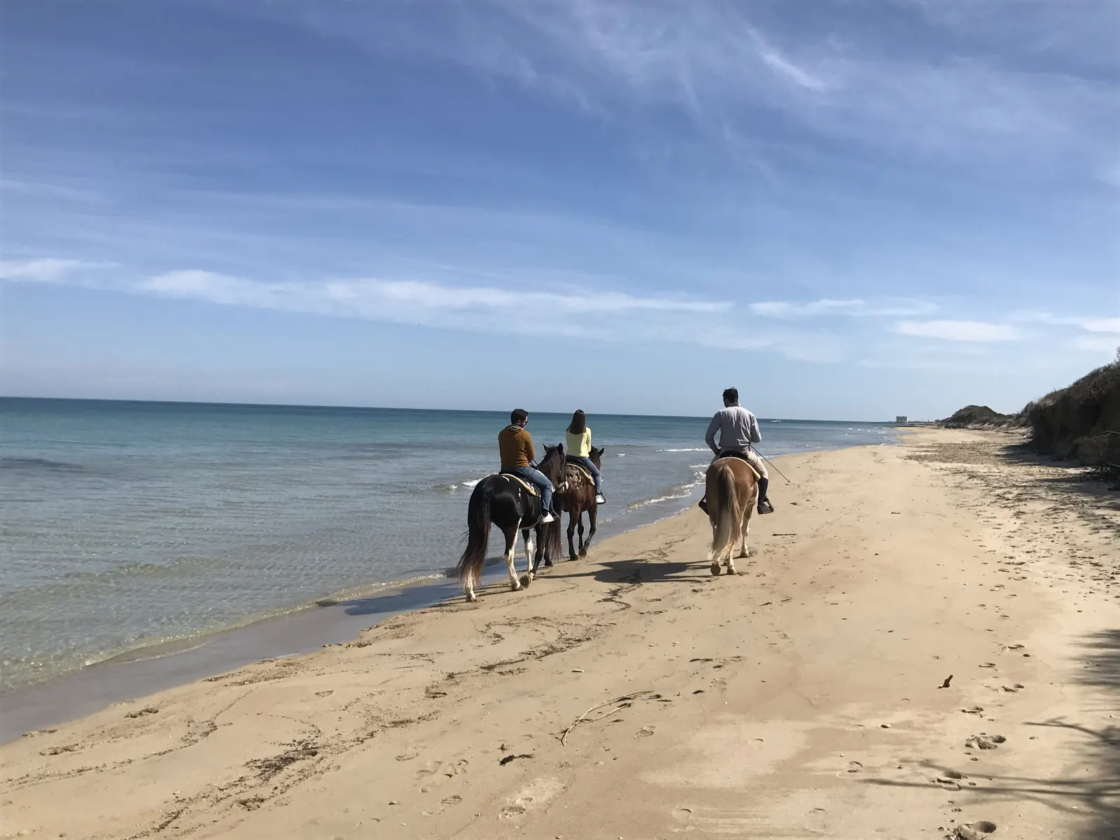 Horse riders on a sandy beach near Ostuni